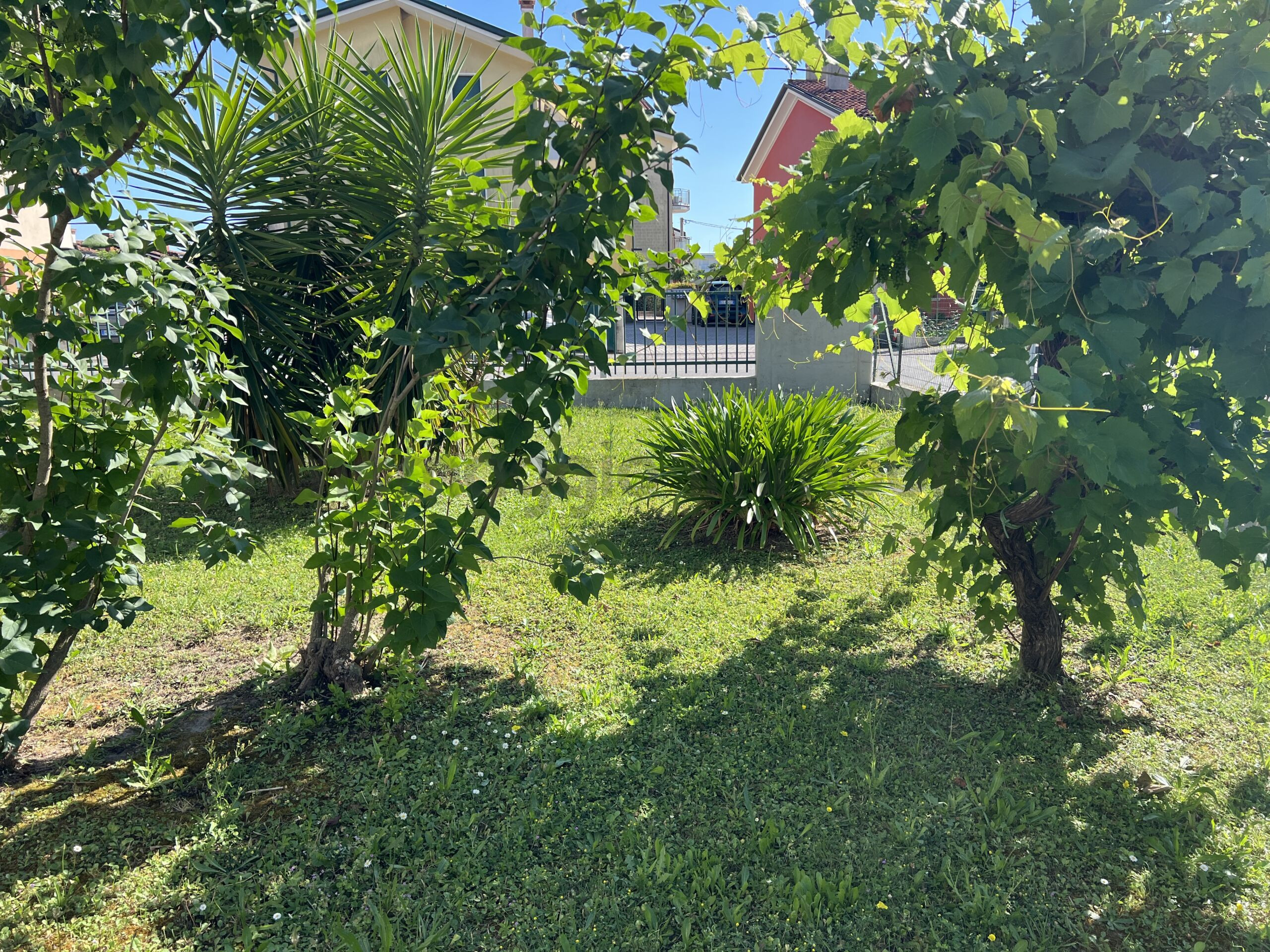 GIARDINO 2
